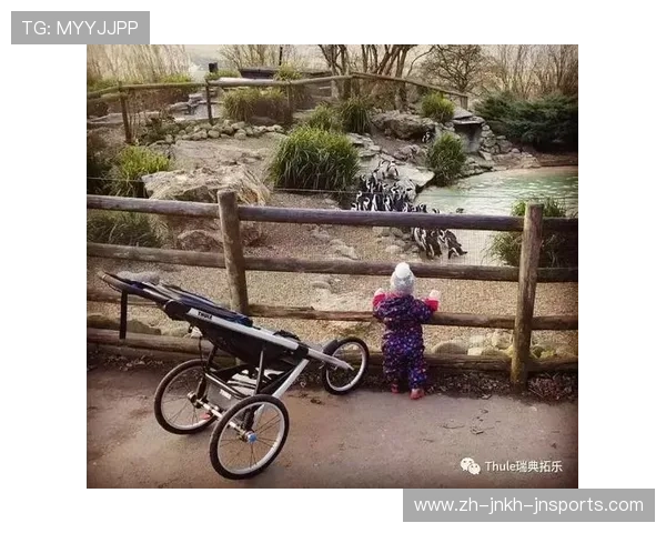 足球婴儿车产品设计是否体现年轻家庭球迷对赛事文化的传承意愿